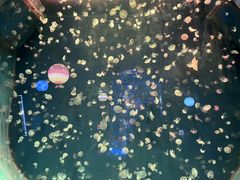 -台州海洋世界