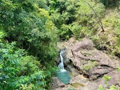 -广州白江湖森林公园