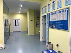 -瑞鹏宠物医院·爱宠堂·骨外专科(西荷分院)