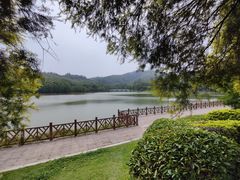 -番禺大夫山森林公园