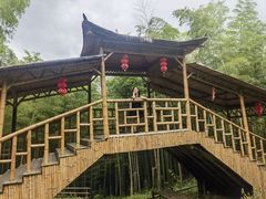-宁波浙东大竹海景区