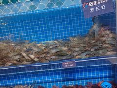 -乔哥铭洋海鲜自助(皇城恒隆广场店)