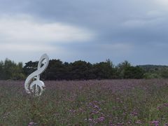 -密云玫瑰情园