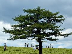 -芦芽山旅游度假区