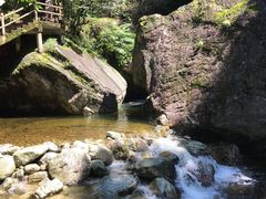 -牛背梁国家森林公园