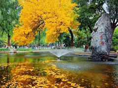 -集天餐厅(人大店)