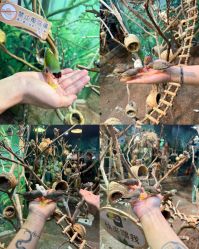-Zoolung Zoolung动物主题公园(海信广场店)