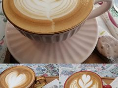 -树咖啡tree coffee