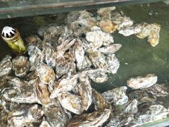 -四海鲜渔家菜(黄金海岸店)
