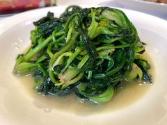 -同庆楼(大钟寺店)