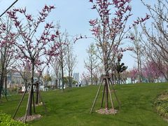 -其昌栈渡口(轮渡站)