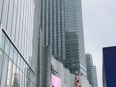 -金茂览秀城