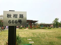 -上海长兴岛郊野公园