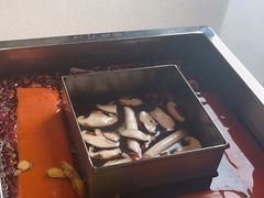 -红鼎坊·老成都火锅(新南门店)