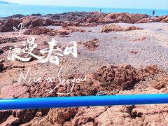 -青岛海滨风景区小青岛