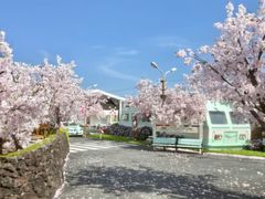 -Blue Concept Cafe&Farm·關於藍