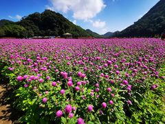-广州市石门国家森林公园