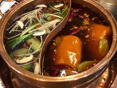 菌菇鸳鸯锅-镇江龙·火锅串串(武侯祠店)