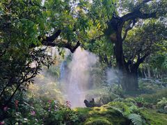 -Chom Cafe and Restaurant