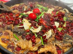 -老板恋上鱼(恒隆广场店)