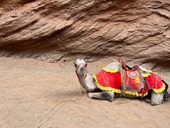 -天山神秘大峡谷