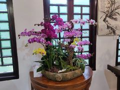 -广州兰圃