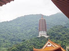 -深圳仙湖植物园