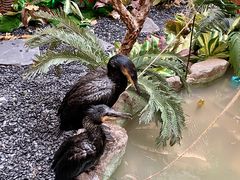 -龙湖南京江北天街