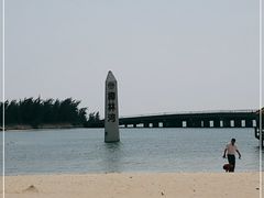 -东郊椰林