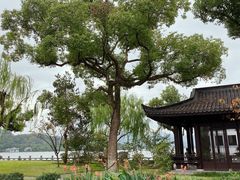 -杭州西湖柳莺里酒店·闻莺厅