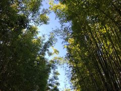 -蝴蝶泉公园