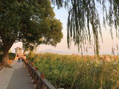-太湖湖滨国家湿地公园-停车场