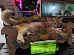 -凤城·食都