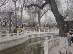 -桃花堤公园