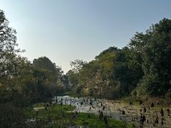 -白鹭湾湿地公园