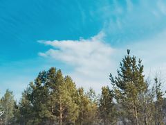 -北极村旅游风景区