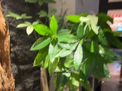 -观宴·品质赣菜(高新大道店)