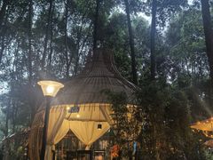 -二荆条·蜀鲜汇城市森林火锅