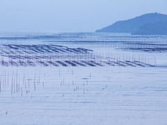 -北岐滩涂