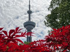 -南京古林公园