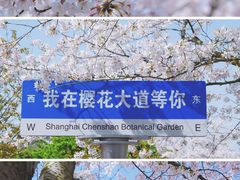 -上海辰山植物园