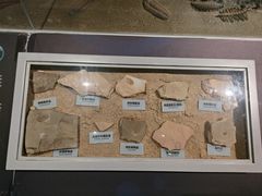 -正佳自然科学博物馆