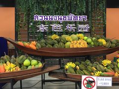 -东芭乐园