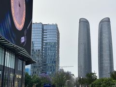 -合景·悠方(成都店)