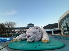 -大连老虎滩海洋公园