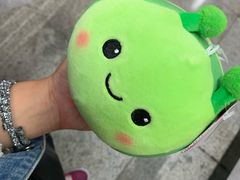 -PAWTOY爪e玩偶店(天兴罗斯福店)