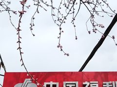 -和平门菜市场