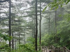 -秦岭天竺山生态文化旅游景区