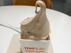 正山小种冰淇淋-野人先生现做冰淇淋(北京环宇荟店)