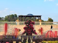 -东莞植物园